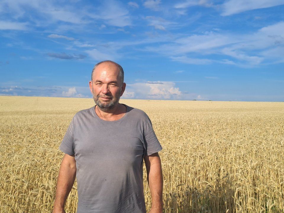 Євген Шеховцов на пшеничному полі